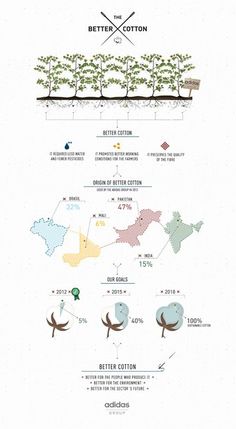 an info poster showing the different types of trees and how they are grown in them