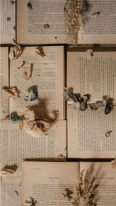 several open books with dried flowers on them