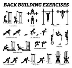 an exercise poster showing the different exercises for back and shoulder workouts, including pull ups,