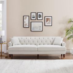 PRICES MAY VARY. Elegant Tufted Design: The 86" loveseat sofa features a classic tufted backrest that adds a touch of sophistication and timeless elegance to any living space. This detail not only enhances the aesthetic appeal but also provides a plush texture that's visually and physically inviting High-end Velvet Fabric: Upholstered in soft velvet, this 3 seater sofa offers a plush touch and glossy finish while ensuring durability and easy maintenance, perfect for everyday use in any home Comfortable Seating with Cushions: Boasting a spacious seat and thick cushions, the couch delivers exceptional comfort and support. Two matching throw pillows enhance your relaxation experience, making it the perfect spot for lounging, reading, or engaging in meaningful conversations Sturdy Construction Small Couch For Bedroom, Small Couch In Bedroom, Couch For Bedroom, Living Room Comfy, Office Sofas, Room Comfy, Tufted Couch, Velvet Tufted Sofa, Couches For Living Room