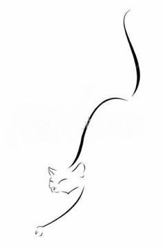 a black and white photo of a cat with its tail curled up in the air