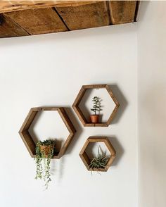 three wooden hexagonal shelves with plants on them and the words provincial above them