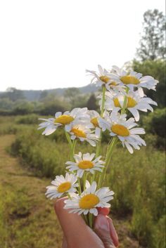 a person is holding daisies in their hand on the side of a dirt road