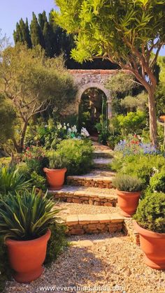 an outdoor garden with potted plants and stone steps leading up to the entrance way