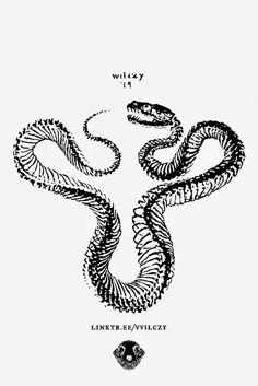 an image of a snake that is in the middle of it's web page