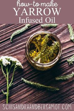 Let's learn how to make yarrow infused oil! We'll learn about yarrow (Achillea millefolium) oil uses, properties and how to make this easy natural DIY recipe right at home. Enjoy! Yarrow Uses, Yarrow Oil, Yarrow Essential Oil, Yarrow Plant, Medicinal Oils, Making Essential Oils