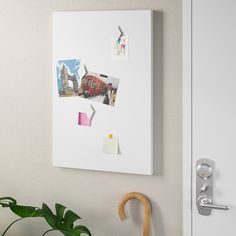 a white wall with pictures and magnets attached to it next to a potted plant