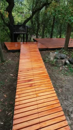 a wooden walkway in the middle of a wooded area with benches and trees behind it