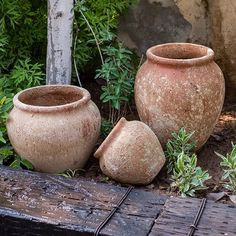 three vases sitting on the ground next to some plants