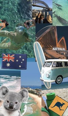 collage of australia images including a koala and an old vw bus with people swimming in the water