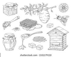 hand drawn beehive and honeycombs with honey dipper stock photo royalty