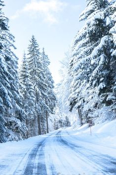 the road is covered in snow and trees