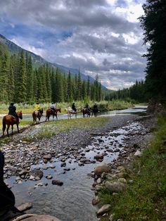 people are riding horses on the side of a river near some trees and rocks in the grass