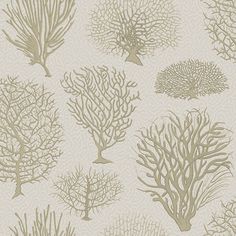 a wallpaper with many different types of corals and trees on it's side