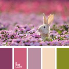 a rabbit is sitting in the middle of purple flowers