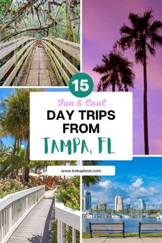 palm trees and boardwalks in tampa, florida with text overlay that reads 15 fun and easy day trips from tampa