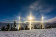 two circles are seen in the sky above snow covered ground with pine trees on either side