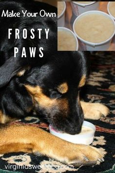 a black and brown dog eating food from a bowl on the floor next to cups