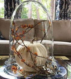 a glass dome with pumpkins in it on a table next to a couch and window