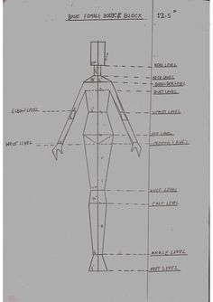 a drawing of a person's body and the measurements for each individual part of it