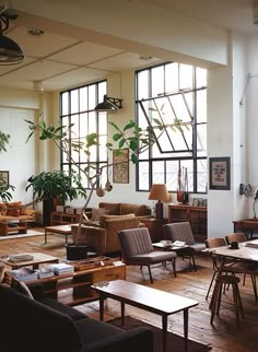 a large living room filled with lots of furniture and plants on the windowsills