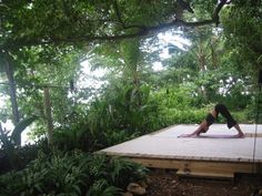 a person sitting on top of a wooden platform in the middle of some trees and bushes