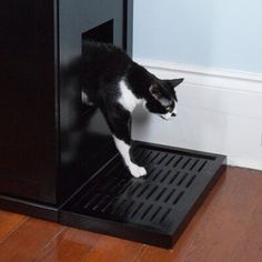 a black and white cat standing on top of a cabinet