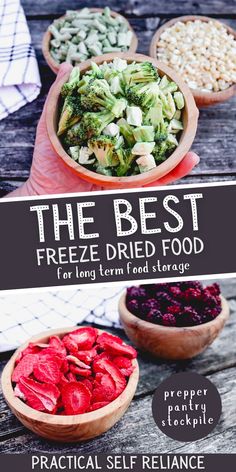 a bowl of freeze dried strawberries, freeze dried broccoli, freeze dried, corn Freeze Drying Food Ideas, How To Store Freeze Dried Food, Best Freeze Dryers, Healthy Freeze Dried Meals, Retired At 40 Freeze Dried, Using Freeze Dried Food, Best Meals To Freeze Dry, Harvest Right Freeze Dryer Ideas, Best Things To Freeze Dry