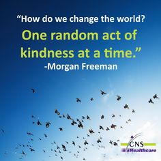 birds flying in the sky with a quote from morgan freeman on how do we change the world?