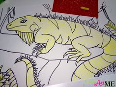 a drawing of an iguana on a piece of paper with crayons