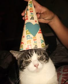 a cat wearing a birthday hat with the words happy on it's side, while being held up by a persons hand