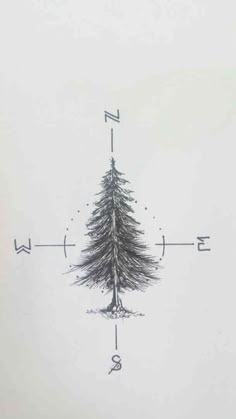 a drawing of a pine tree on a white background with an arrow pointing to the right