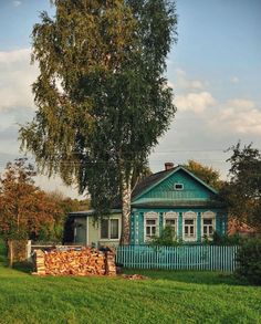 a small blue house sitting in the middle of a lush green field next to a tree