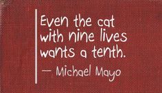 a quote from michael mayo about the cat with nine lives