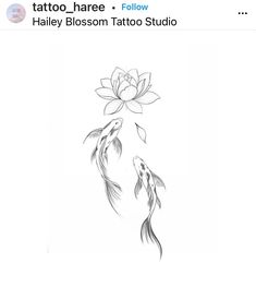 a drawing of two koi fish in front of a white background with the caption halo blossom tattoo studio