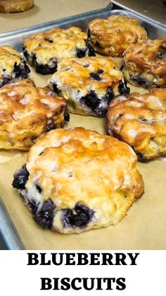 blueberry muffins are sitting on a baking sheet