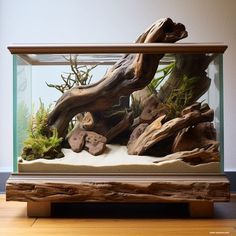 an aquarium filled with rocks and plants on top of a hard wood floor next to a wall