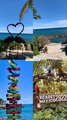 the collage shows many different signs in various locations around the world, including one with a heart on it