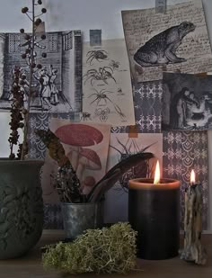 a candle sitting on top of a wooden table next to pictures and plants in vases