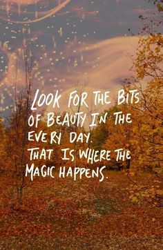 the words look for the bits of beauty in the every day, that is where the magic happens