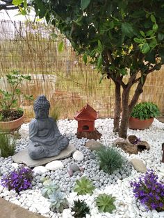 a buddha statue sitting on top of a pile of rocks next to a tree and some plants