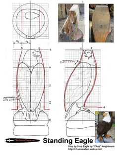 the drawing shows how to draw an eagle in three different ways, including standing and sitting