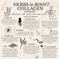 Inflammatory Recipes, Magia Das Ervas, Boost Collagen, Magical Herbs