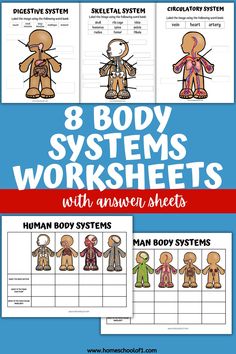 the 8 body systems worksheets with answers and pictures to help students understand their body systems