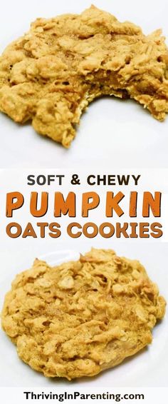 Whip up these pumpkin oats cookies when you’re looking for easy dessert for fall or easy Thanksgiving cookies! These rolled oats pumpkin cookies are the best pumpkin oatmeal cookies perfect for any gathering. Soft and chewy, these pumpkin spice oatmeal cookies are hard to resist. Whether you’re looking for unique fall cookies, fun fall cookie recipes or easy pumpkin baked goods, these fall cookies are a sure hit. Quick to bake, these soft pumpkin oatmeal cookies are perfect for busy moms. Pumpkin Spice Oatmeal Cookies, Oatmeal Pumpkin Cookies, Spice Oatmeal Cookies, Easy Thanksgiving Cookies, Pumpkin Spice Seasoning, Spice Oatmeal, Pumpkin Spice Oatmeal, Oats Cookies, Dessert For Fall