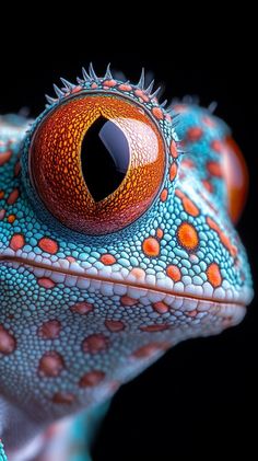 a close up view of the eye and head of a chamelon with orange spots