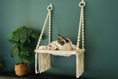 a black and white cat laying in a hammock with macrame beads