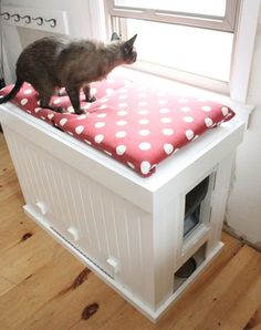 a cat is standing on top of a kitty house