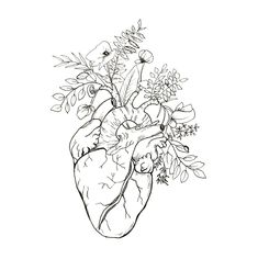 a drawing of a human heart with flowers in it's center and leaves on the side