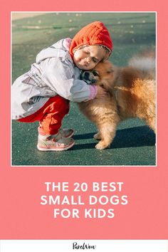 I’ve selected 20 of the best small dogs for kids, taking into account low-energy breeds like the Bolognese or the Cavalier King Charles Spaniel, which are great for families with kids because they don’t require as much exercise outdoors.